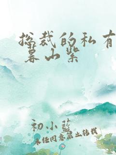 总裁的私有宝贝 暮山紫