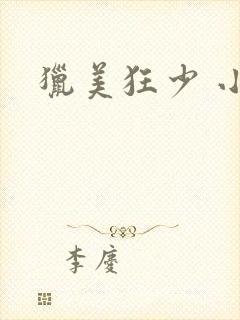 猎美狂少 小说
