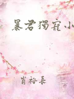 暴君独宠小俏后