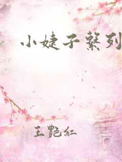 小婕子系列小说