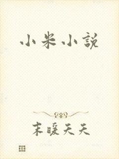 小米小说