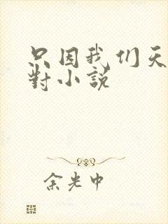 只因我们天生一对小说