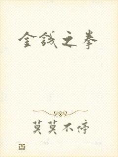 金钱之拳