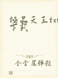极品天王txt下载