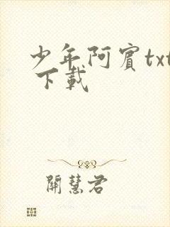 少年阿宾txt 下载