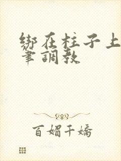 绑在柱子上用毛笔调教