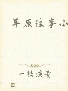 平原往事小说