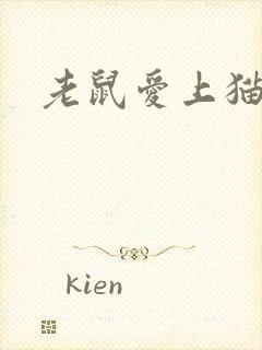 老鼠爱上猫下载