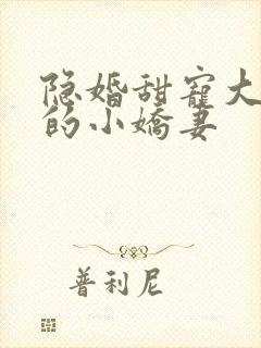 隐婚甜宠大财阀的小娇妻