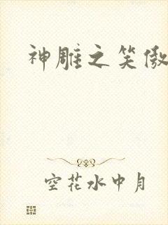 神雕之笑傲天下