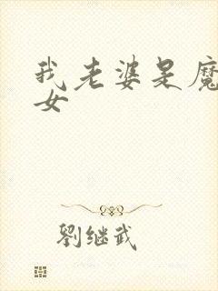 我老婆是魔法少女