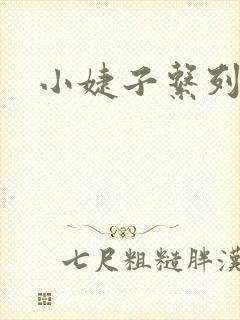 小婕子系列小说