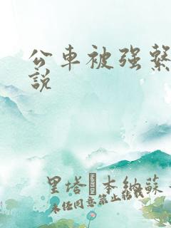 公车被强系列小说