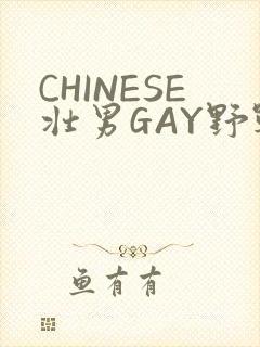 CHINESE壮男GAY野战强迫TUBE