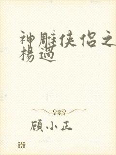 神雕侠侣之我是杨过