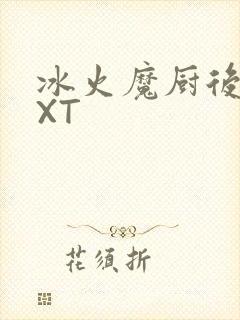 冰火魔厨后记TXT