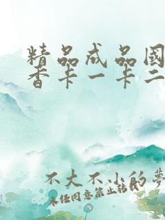 精品成品国色天香卡一卡二摄像头