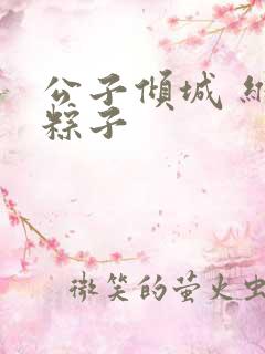 公子倾城 维和粽子