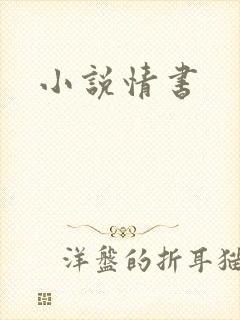 小说情书
