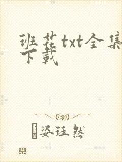 班花txt全集下载