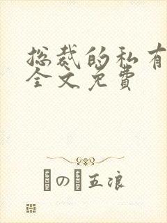 总裁的私有宝贝全文免费