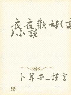 夜夜欢好(高h)小说