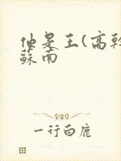 他是王(高干)苏南