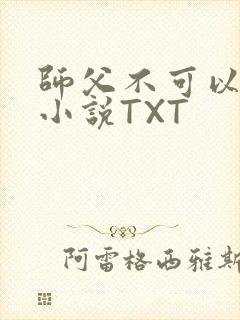 师父不可以灵犀小说TXT
