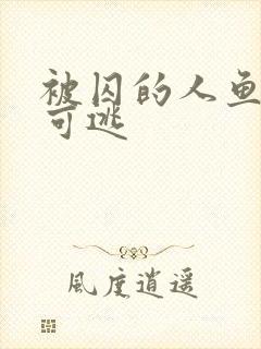 被囚的人鱼无处可逃