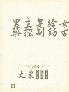 男主是给女主喂药控制的古言