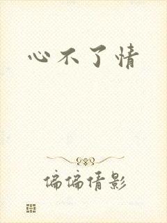 心不了情