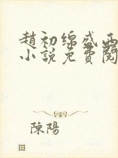 赵初绵盛西舫的小说免费阅读