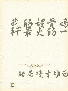 我的媚骨妈妈林轩最火的一句