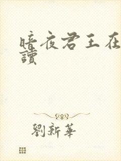 暗夜君王在线阅读