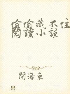 偷偷藏不住免费阅读小说