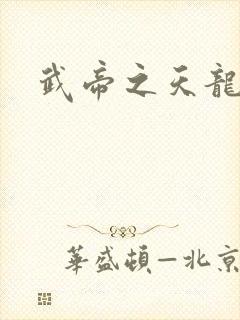 武帝之天龙八部