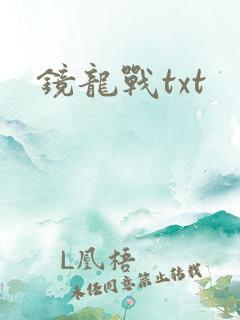 镜龙战txt