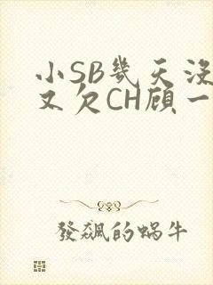 小SB几天没做又欠CH顾一成