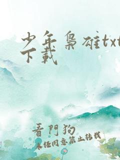 少年枭雄txt下载