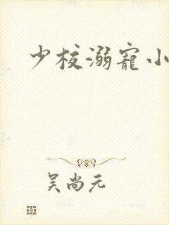 少校溺宠小小妻