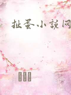 扯蛋小说网