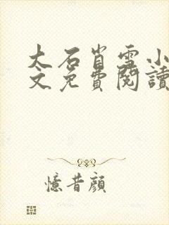 大石肖雪小说全文免费阅读