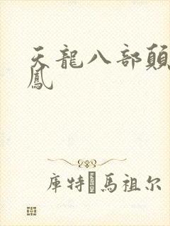 天龙八部颠龙鸾凤