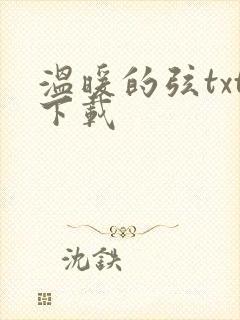 温暖的弦txt下载