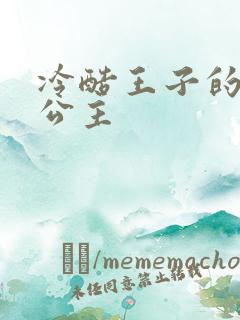 冷酷王子的淘气公主