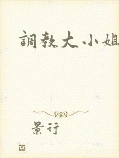 调教大小姐