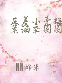 反差小青梅不经叶涵季园园全章