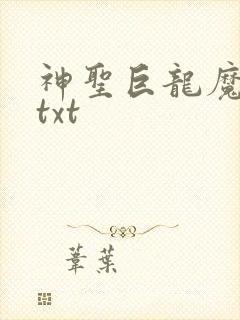 神圣巨龙魔法师txt