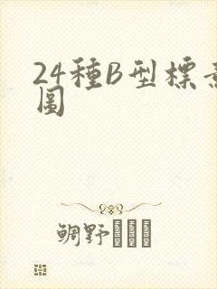 24种B型标意图