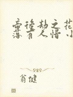 帝后劫之花开花落有人惜 小说